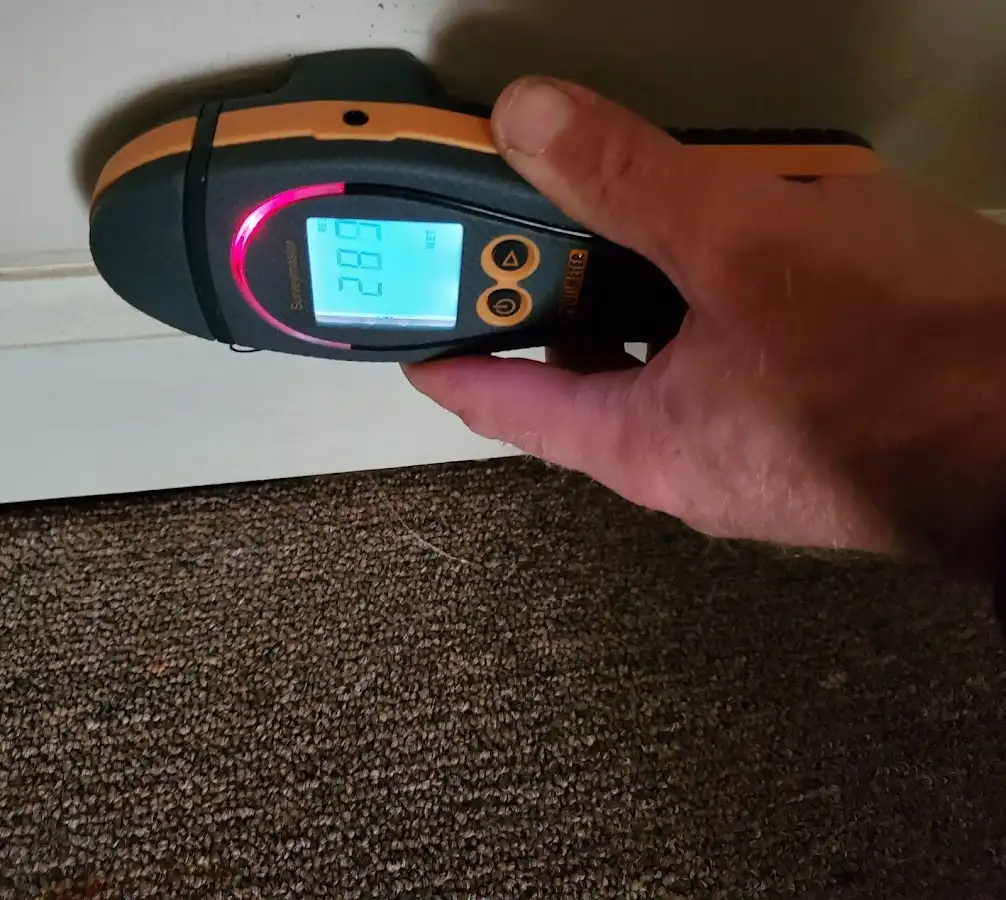Moisture detection at baseboard during Sewage Cleanup & Sanitation in Sheridan